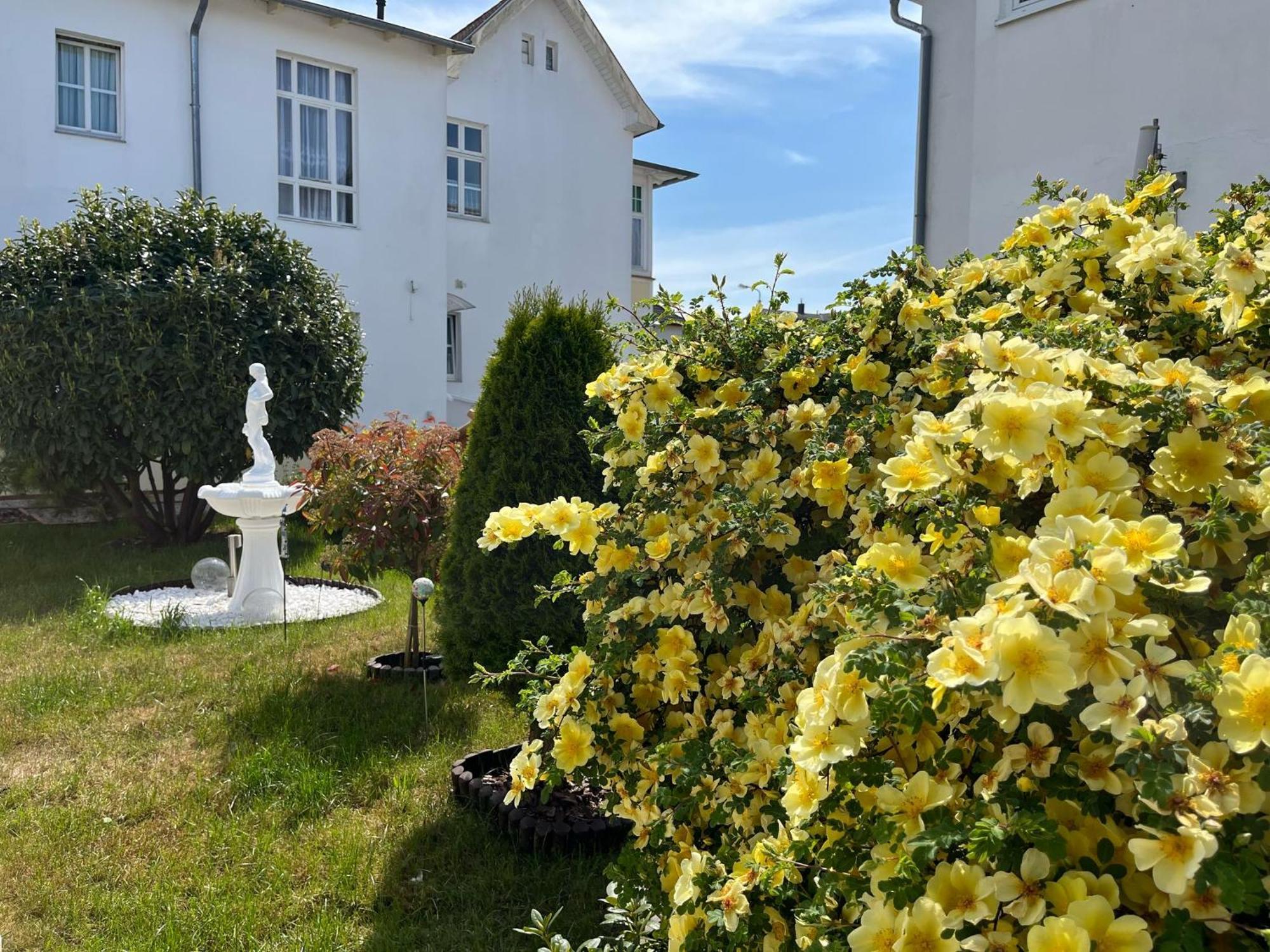 Pension Mittag Heringsdorf  Extérieur photo