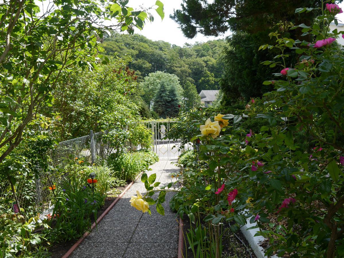 Pension Mittag Heringsdorf  Extérieur photo